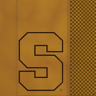 syracuse orange