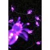 Perfect Holiday 10 LED Fairy Light Battery Operated Purple Spider - White LED Purple Emit - 2 of 4