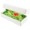 Blue Panda Green Paper Shred for Easter Gift Baskets, 4 oz, Decorative Basket Filler for Gifts, Packaging, Crafts, and Easter Grass - 4 of 4