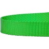 Country Brook Petz 6ft By 1 Inch Heavyduty Doublehandle Nylon Leash - 4 of 4