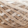 Lion Brand Cover Story Chainette Yarn - 2 of 2