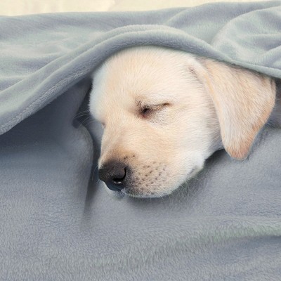 Full Light Gray Polyester Flannel Fleece Blanket