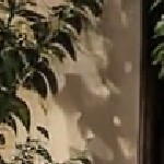 gray cushion/gray wicker