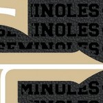 florida state seminoles athletic wordmark