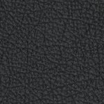 sporting kansas city