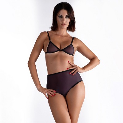 LECHERY Women's Lustrous Sheer High-waisted Brief