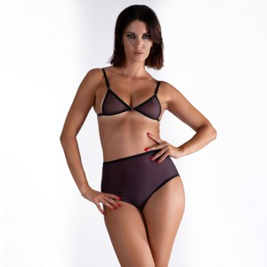 LECHERY Women's Lustrous Sheer High-waisted Brief - 1 of 2