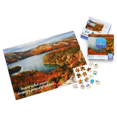 Calm App Silence Jigsaw Puzzle - 300pc