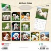 BrownTrout Bichon Frise 2026 12"x24" Hanging Square Wall Calendar Plastic-Free - 2 of 4