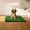 FURNIinspire Pet Crates and Houses, Downtown Pet Supply Dog Grass Pad with Tray, Artificial Grass Training Pads, Green, 20“*25" - 2 of 4