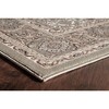 Rugs America Monaco Oriental Transitional Area Rug - 3 of 3