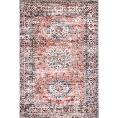 Nuloom Desna Pet Friendly Machine Washable Faded Vintage Area Rug