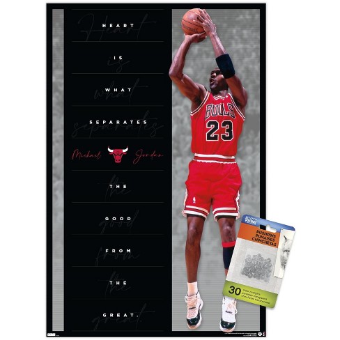 Trends International Michael Jordan - Black and White Wall Poster, 22.375  x 34, Barnwood Framed Version