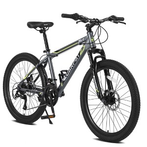 NAYSAYE 24 Inch Mountain Bike 21 Speed Dual Disc Brakes Steel Frame Bikes for Adults for Outdoor Adventure, Gray, 56.3"*7.88"*28.35" - 1 of 4