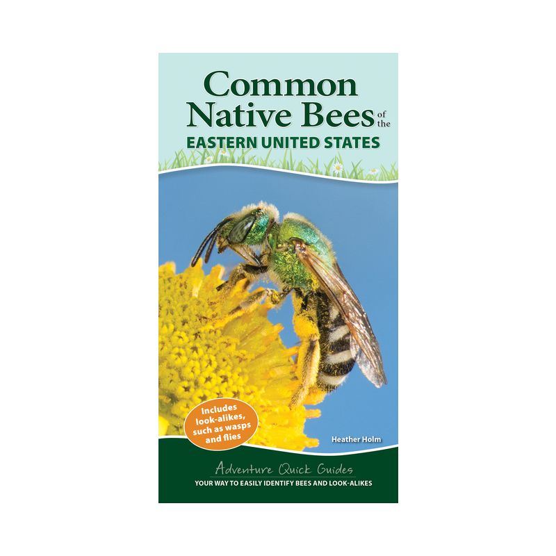 Common Native Bees of the Eastern United States - (Adventure Quick Guides) by  Heather Holm (Spiral Bound), 1 of 2