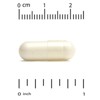 PEA Palmitoylethanolamide, Micronized PEA, Supports Relief from Occasional Minor Pain & Discomfort, Gluten Free, Soy Free, 300 mg, 30 Veggie Capsules - 3 of 3