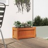 vidaXL Garden Planter Decorative Outdoor Flower Box - Solid Pine Wood, Wax Brown, Ideal for Patio/Balcony/Garden, 23.6" x 12.2" x 12.2" - 3 of 4