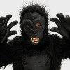 Kids' Gorilla Halloween Costume Jumpsuit with Mask - Hyde and EEK! Boutique™ - 3 of 3