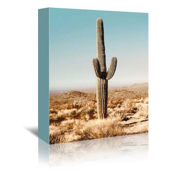 Americanflat Botanical Desert Cactus Photo By Tanya Shumkina Wrapped Canvas