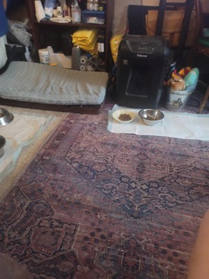 Guest review image 1 of 1, zoom in