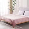 Costway 25lbs Heavy Weighted Blanket 3 Piece Set w/Hot & Cold Duvet Covers 60''x80''Pink\Green - 3 of 4