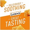 Ludens Cough Drop Bag Wild Honey, Case Of 12 - 3 of 4