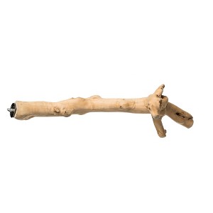 Prevue Pet Products 18 inch Y-Branch Coffea Wood Bird Perch 1052 - 1 of 3