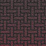 washington state cougars