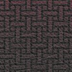 washington state cougars