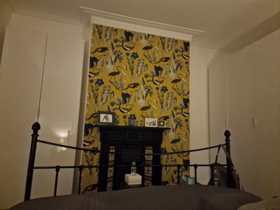 Guest review image 1 of 1, zoom in