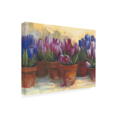 Carol Rowan Spring Crocus Floral Outdoor Canvas Print 14x19