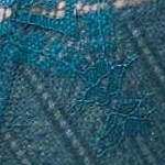 blue coral