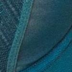 blue coral