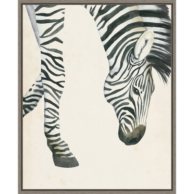 16" x 20" At Your Feet III Zebra by Grace Popp Framed Wall Canvas - Amanti Art