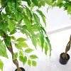 Artificial Ficus Tree, Fake Ficus Leaves Plant with Realistic Leaves and Natural Trunk for House Decor Office Home Living Room - 2 of 4
