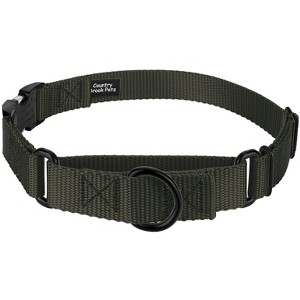 Country Brook Petz Heavyduty Nylon Martingale with Premium Buckle - 1 of 4