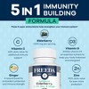 Freeda Elderberry Immune Support Capsules with Vitamin C, D3, Zinc & Ginger – 5-in-1 Herbal Formula – 120 Count, Gluten Free, Made in USA - 3 of 4