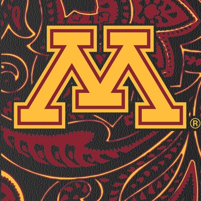 minnesota golden gophers