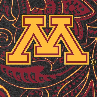 minnesota golden gophers