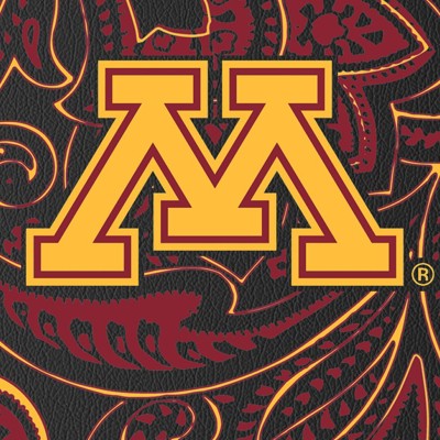 minnesota golden gophers