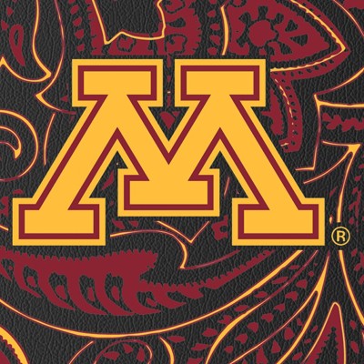 minnesota golden gophers