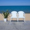 California Armchair - Indoor/Outdoor - PAT7531 - Safavieh - 4 of 4