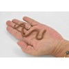 Collectible Wildlife Gifts | Snake, Eastern Brown Snake, Australia, Rubber Reptile, Realistic Hand Painted,  Model, Gift,   3 1/2"  F3052 B364195 - 2 of 4