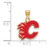 Black Bow Jewelry 14k Yellow Gold Plated Sterling Silver Calgary Flames NHL Small Pendant - 2 of 3