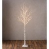 Extra Large Indoor/Outdoor Birch Tree with 750 Warm White Lights - 2 of 2