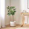 XINGHANZHENXUAN Artificial Pachira Macrocarpa, Pre-Potted Faux Plant with Glossy Hand-Shaped Leaves - 4 of 4