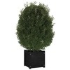 vidaXL Garden Planter Black 15.7"x15.7"x15.7" Solid Wood Pine - 4 of 4