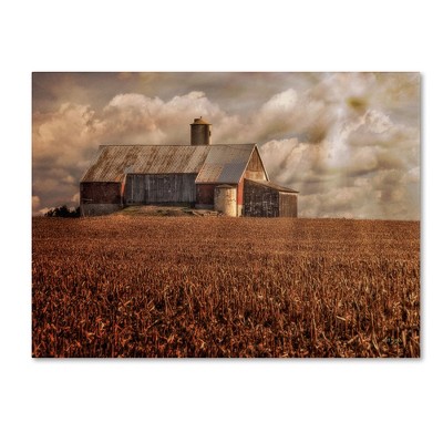 Trademark Fine Art -Lois Bryan 'Light for the Farm' Canvas Art