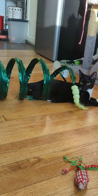 Guest review image 2 of 2, zoom in