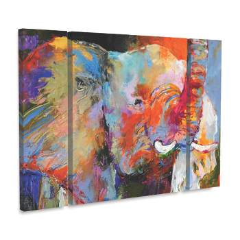 Trademark Fine Art -Richard Wallich 'Art Elephant' Multi Panel Art Set Large 3 Piece